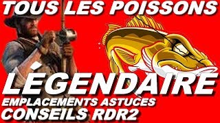 COMMENT PÊCHER TOUS LES POISSONS LÉGENDAIRE POSITIONASTUCES RED DEAD REDEMPTION 2 [upl. by Rainger]