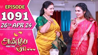 Anbe Vaa Serial  Episode 1091  26th April 24  Virat  Shree Gopika  Saregama TV Shows Tamil [upl. by Delmor]