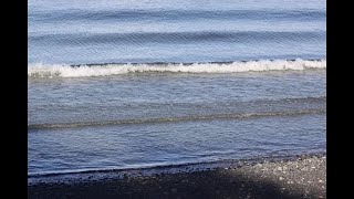 Qualicum Beach Park [upl. by Magas]