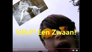 KIJK UIT Een Zwaan [upl. by Toor105]