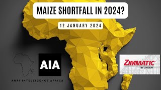 Maize shortfall in Africa  12 Jan 2024  African Agri Overview [upl. by Amles]