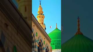 Pukaro ya Rasulullah ❤️12rabbiunawwal youtubeshorts shorts shortshortvideotrendingshortsvideo [upl. by Micah519]