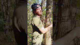 Tips and Tricks for Climbing Sticks saddlehunting thehuntingpublic [upl. by Siobhan]