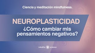 Neuroplasticidad Cerebral ¿Cómo Cambiar mis Pensamientos Negativos  Mindful Science [upl. by Danica]