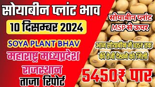 सोयाबिन प्लांट भाव 10 December 2024 Soyabean plant bhav soya Plant bhav todaysoybean price today [upl. by Joacima]