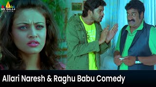 Allari Naresh amp Raghu Babu Ultimate Comedy  Madatha Kaaja  Telugu Comedy Scenes SriBalajiMovies [upl. by Niwrek528]