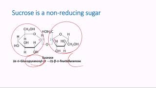 Nonreducing Sugars [upl. by Odlabso]