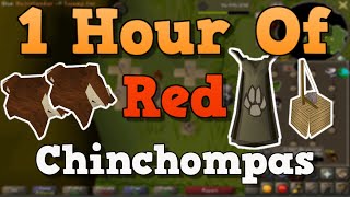 OSRS Hunting Red Chinchompas Guide 2021 [upl. by Enyalahs]