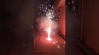 Diwali Celebration ytshorts shorts patakhe [upl. by Ennagrom899]