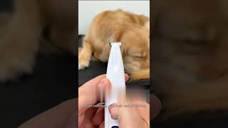 Best Hair Trimmer For Dogs And Cats  Hair Clipper shorts gadgets dog cat [upl. by Lorrimer861]