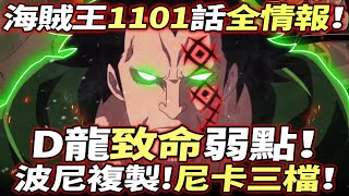 海賊王1101話全情報：D龍“致命”弱點！波尼複製！“尼卡”三檔！ [upl. by Norraa]