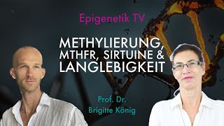 Methylierung MTHFR Sirtuine amp Langlebigkeit mit Prof Dr Brigitte König [upl. by Savanna402]