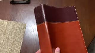 Brief Review NIV Study Bible Large Print [upl. by Mharg]