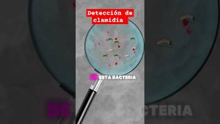 Clamidia microscopio medico microbiologia embarazo microbio [upl. by Swayder]