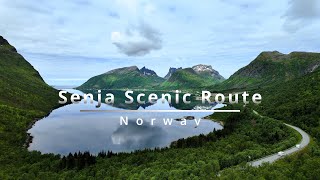 Senja Scenic Route  North Norway  Norway Road Trip [upl. by Khudari421]