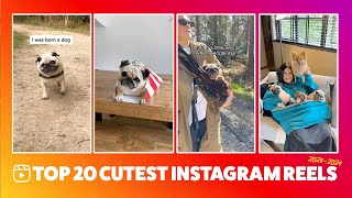 TOP 20 cutest instagram reels [upl. by Gallager]