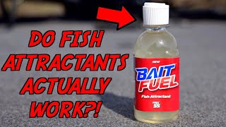 Do Fish Attractants Really CATCH MORE Fish [upl. by Stanley]