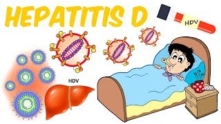 Hepatitis D [upl. by Yrneh949]