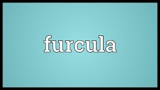 Furcula Meaning [upl. by Ajan114]