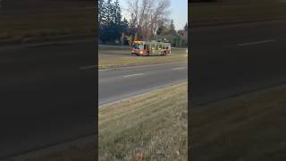 D40LFR 8070 On Route 40 To Crowfoot Station transit bus shorts fyp calgary yyc [upl. by Priscella173]