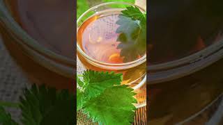 Drink Stinging Nettle Tea Your LIVER Will Thank You [upl. by Ehsiom]