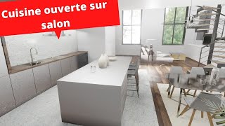 Cuisine ouverte sur salon  5 leçons que j’ai apprises Inspiration maison [upl. by Mala389]