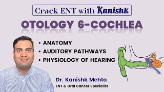 COCHLEA  HEARING  INNER EAR  PHYSIOLOGY OF HEARING  ANATOMY OF COCHLEA  DR KANISHK MEHTA [upl. by Rossie]