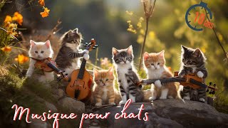 10 heures de musique  pour chats ronronnement relaxante sommeil Détente Douce Dormir Calme 💤 [upl. by Anama192]