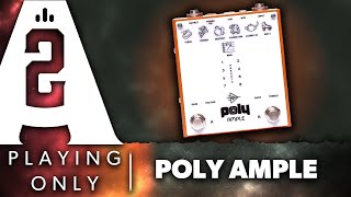 Poly Effects Ample Preamp Pedal  Playing Only Demo [upl. by Ennahs250]