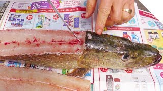 How to Fillet a Pike and Get 5 Boneless Fillets [upl. by Carpio]