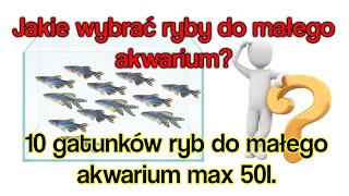 10 GATUNKÓW RYB do MAŁEGO AKWARIUM [upl. by Ariada]