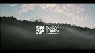 El Chocó Andino de Quito un tesoro por descubrir Subtítulos en Español [upl. by Aira869]