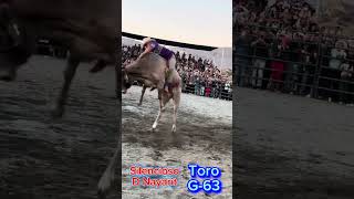 Silensioso d nayarit Vs G63 bullrider  jinetes guachemeco2 jaripeo cowboys jaripeosinfr [upl. by Yluj]