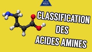 01  Classification des acides aminés [upl. by Anitsrhc766]