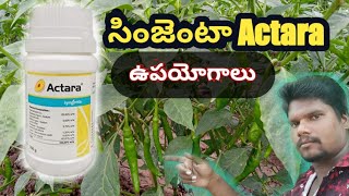 Syngenta Company Actara Insecticide Telugu  Thiamethoxam 25WG  My Wildlife Agriculture Telugu [upl. by Naehgem]