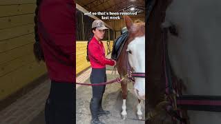 My tips for riding an anxious horse outside an arena Pt 1 horse horsegirl equestrian horses [upl. by Aluino429]