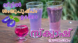 ശംഖുപുഷ്പം സ്ക്വാഷ് Blue Butterfly Pea Flower sqash healthy drink [upl. by Notsniw]