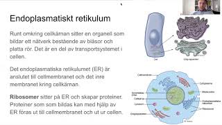 Cellens struktur [upl. by Hutt]