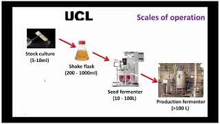 Microbial fermentation Process and Bioreactor design [upl. by Haswell]