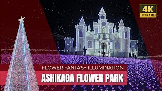 Ashikaga Flower Park Japans Flower Fantasy Illuminations 4K [upl. by Beeck]