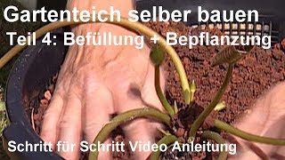 Gartenteich selber bauen  Teil 4 Befüllung und Bepflanzung  Gartenteich bepflanzen Video [upl. by Gamal]