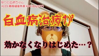 【コメント欄で一部訂正】白血病再々発から約1年、治療の効き目に翳りが…？ [upl. by Margarete]