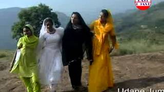 Panineer Pookal Viriyum Nalu  Evergreen Malaylam Mappila Songs  Udane Jumailath [upl. by Iral]