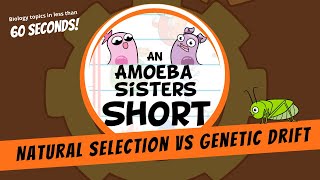 Natural Selection vs Genetic Drift  Amoeba Sisters Shorts [upl. by Ahsiad80]