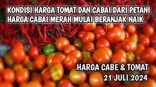 Harga cabai merah hari ini 21 Juli 2024  Info harga tomat dan cabai saat ini dari petani [upl. by Alemak]