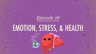 Emotion Stress and Health Crash Course Psychology 26 [upl. by Hesky142]