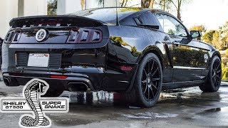 Why I Bought The 1000HP Shelby GT500 Super Snake [upl. by Anes780]