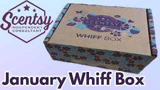 Scentsy Whiff Box January 2024 [upl. by Amick]