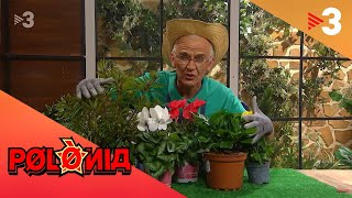 El gardening de Josep Borrell  Polònia [upl. by Ieppet823]