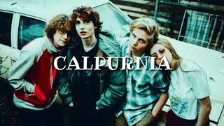 Calpurnia  CITY BOY Lyrics [upl. by Suirtemid]